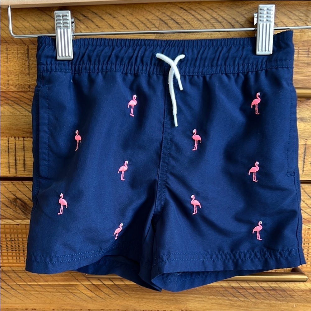 Janie & Jack Swim Trucks with Pink Flamingo Embroidery  🦩